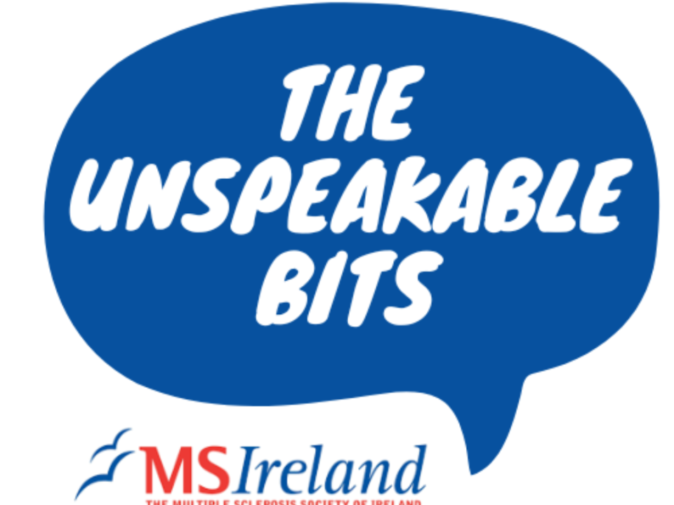 Logo for Unspeakable Bits Webinar